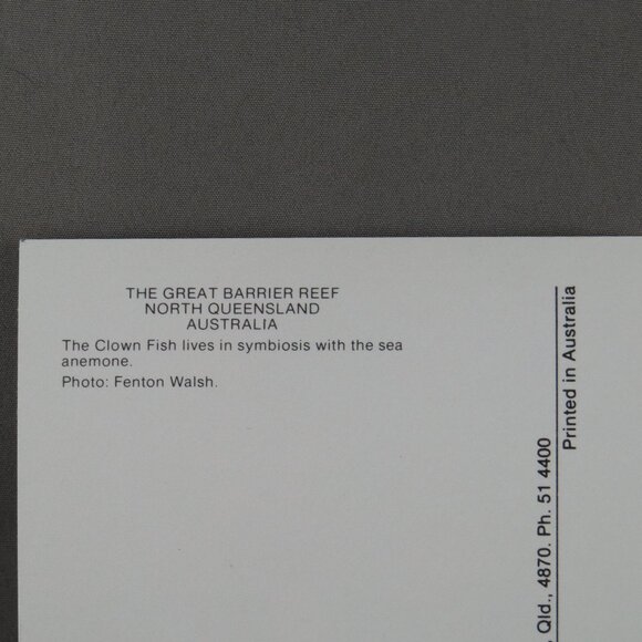 Vintage Postcard - Clownfish in an Anemone Great Barrier Reef - Peer Productions - Picture 2 of 4